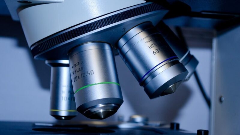 Jakie są najnowsze odkrycia w dziedzinie biotechnologii – przegląd najciekawszych badań
