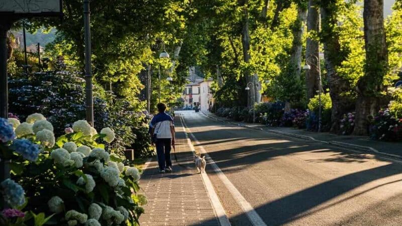 Jak motoryzacja wpływa na rozwój miast?