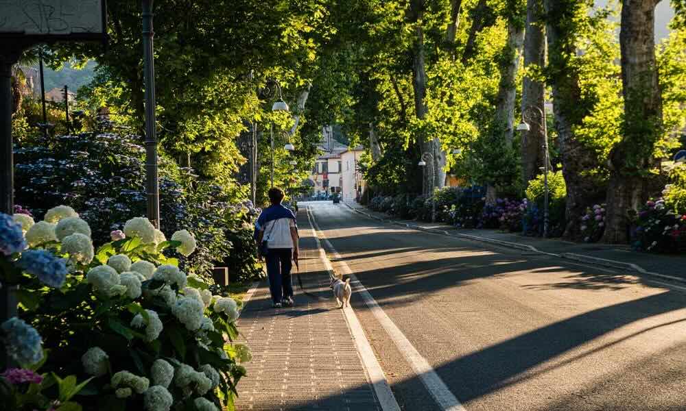 Jak motoryzacja wpływa na rozwój miast?