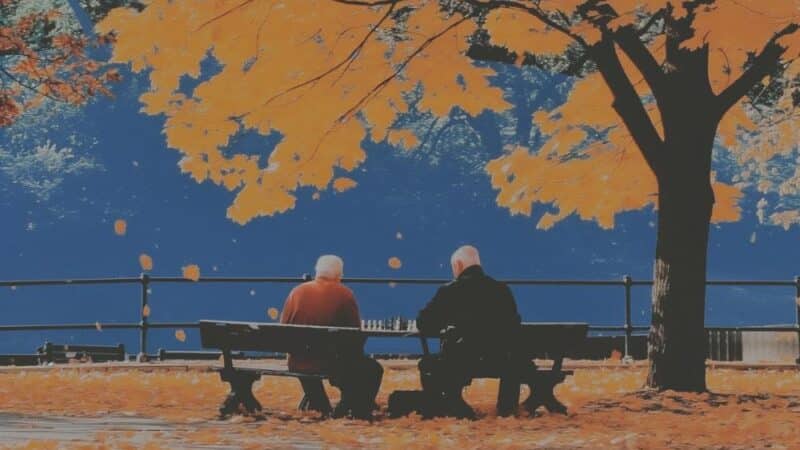 Gra w szachy online – najlepsze platformy dla początkujących i zaawansowanych