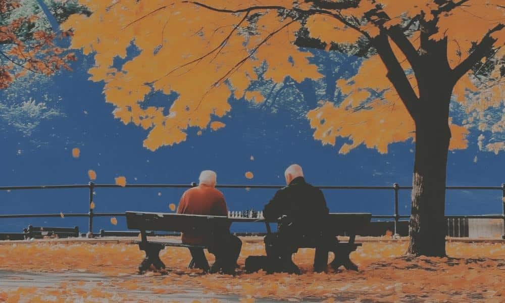 Gra w szachy online – najlepsze platformy dla początkujących i zaawansowanych